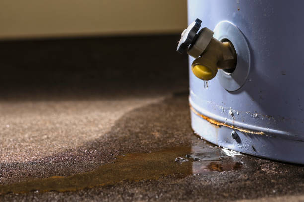 Best Carpet water damage restoration  in Spry, PA