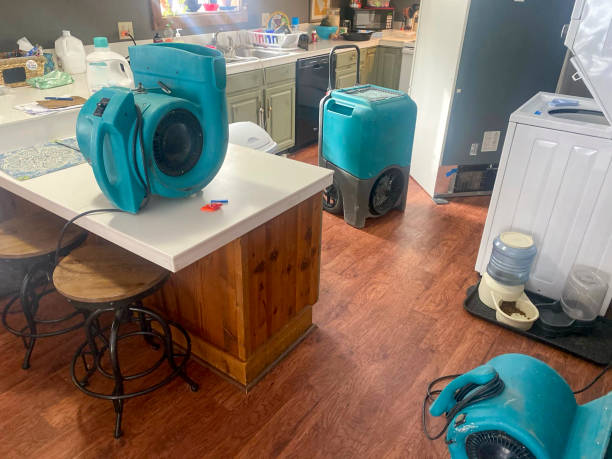 Best Sewage cleanup and water damage restoration  in Spry, PA
