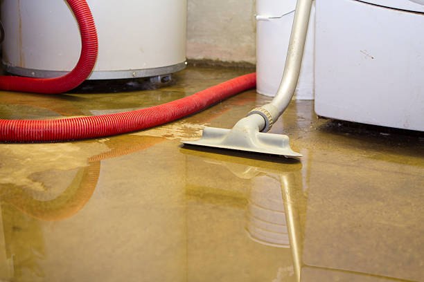Best Flooded house restoration  in Spry, PA