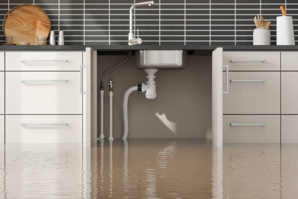 Best 24/7 water damage repair  in Spry, PA