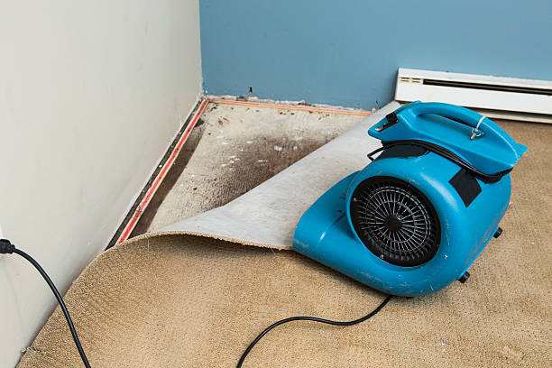 Best 24/7 water damage repair  in Spry, PA
